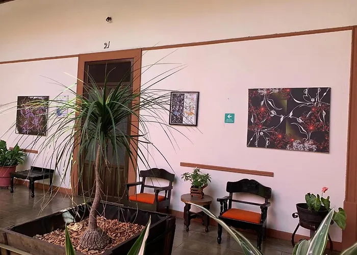 Hotel Villa de Flores